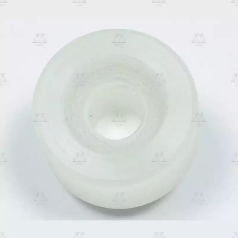 1005349P02 | GALET DE SERRURE AE