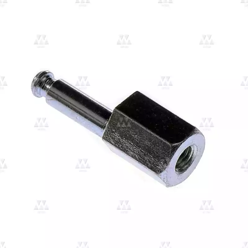 1006740P01 | SUPPORT PATIN