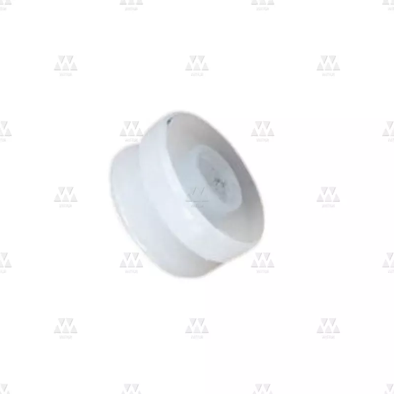 1008247P01 | GALET EN PLASTIQUE
